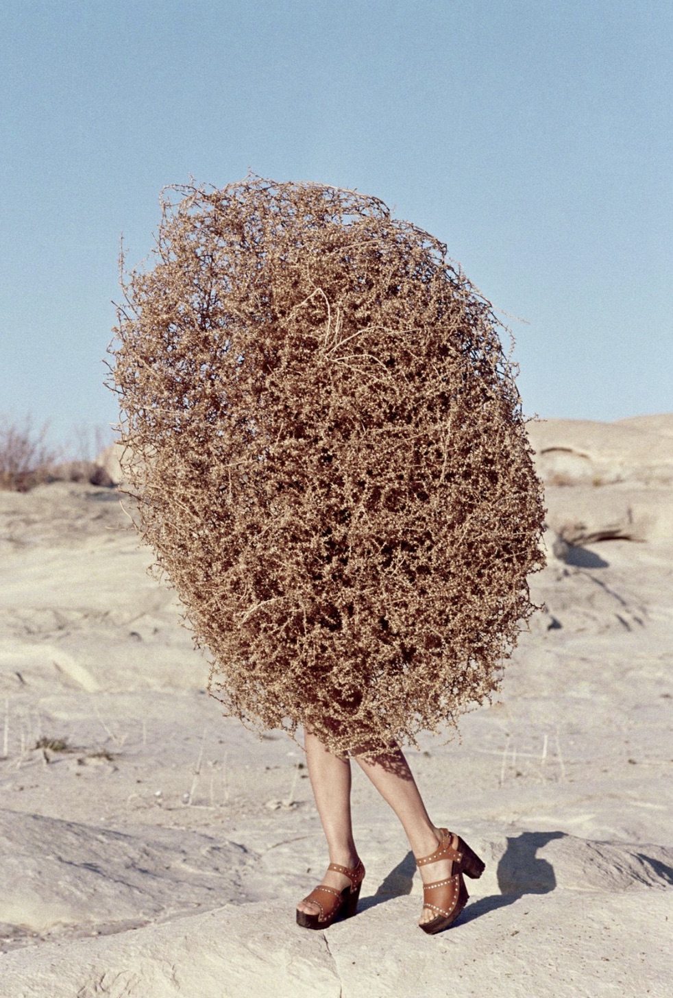 tumbleweed costume